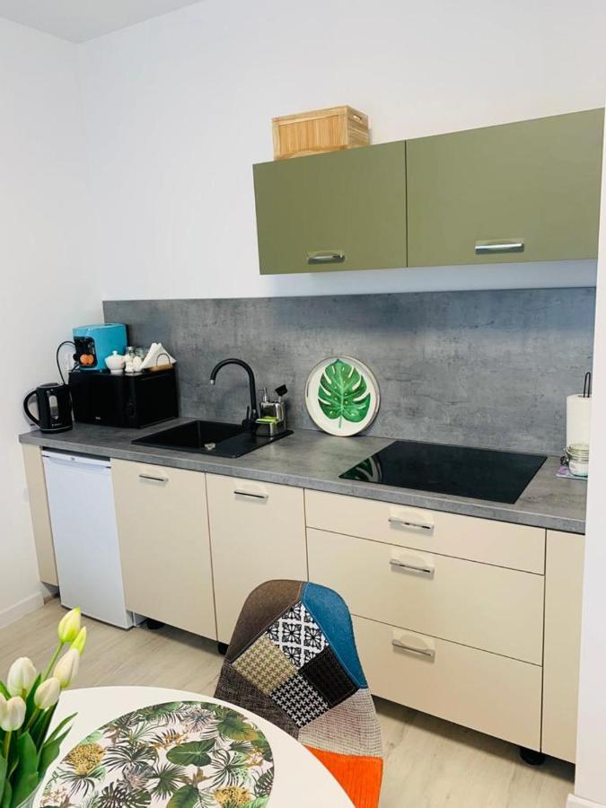 Apartament Walczaka 15 Miejsce Parkingowe ゴジュフ・ヴィエルコポルスキ エクステリア 写真